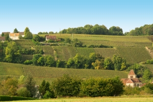 Champagne Dominique Papelard - 